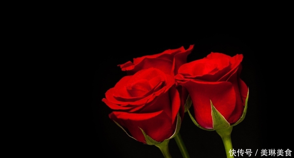 百合莲子粥|家里养此5种花,好看好闻,关键花朵还能吃,真是美味!