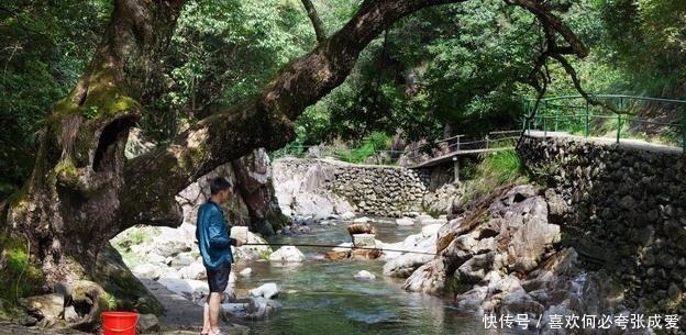 夏季三伏天钓鱼怎么钓钓鱼高手给你支个招，提高中鱼率！