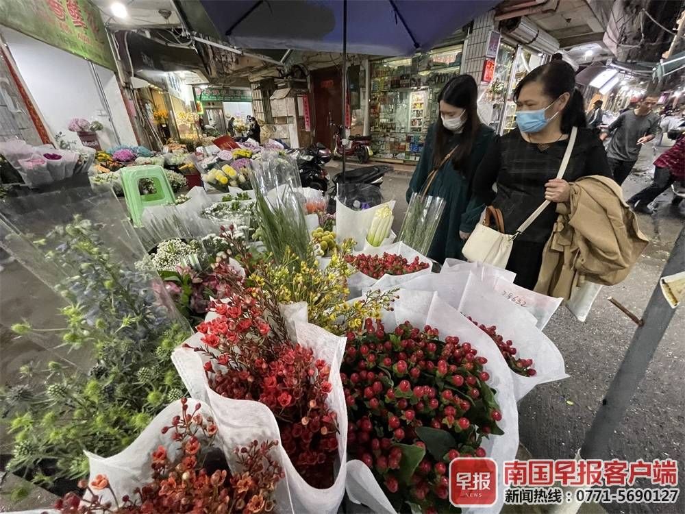 宠物|小心中毒！果实类花材虽好看，孩子宠物误食有风险