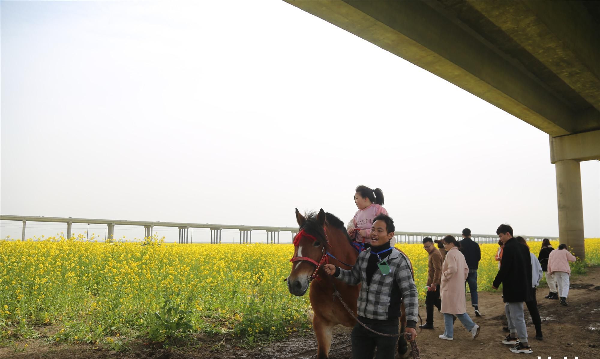 婚庆店老板苦叹淡季没生意,走出家发现商机笑称比旺季挣钱多