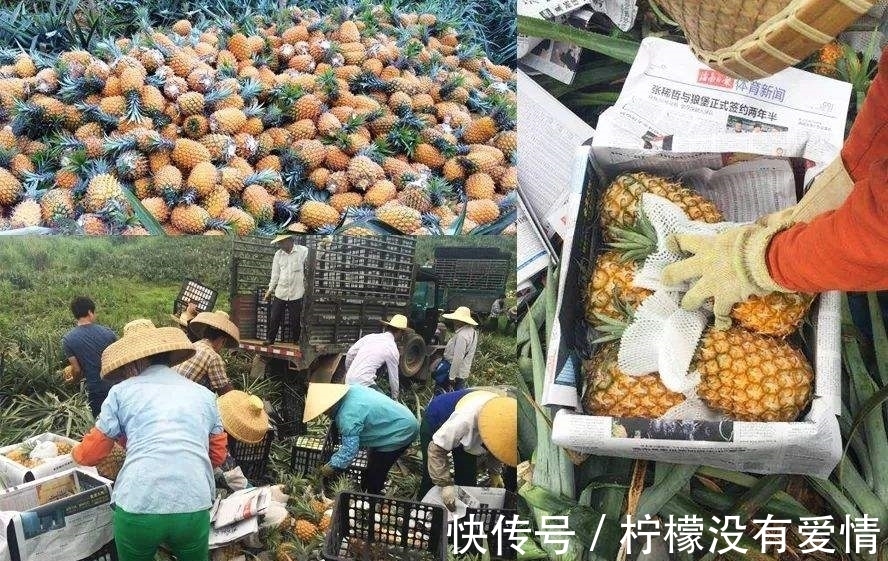 书法家!沃兴华的奇怪言论,真是无语了,这还能叫书法家?