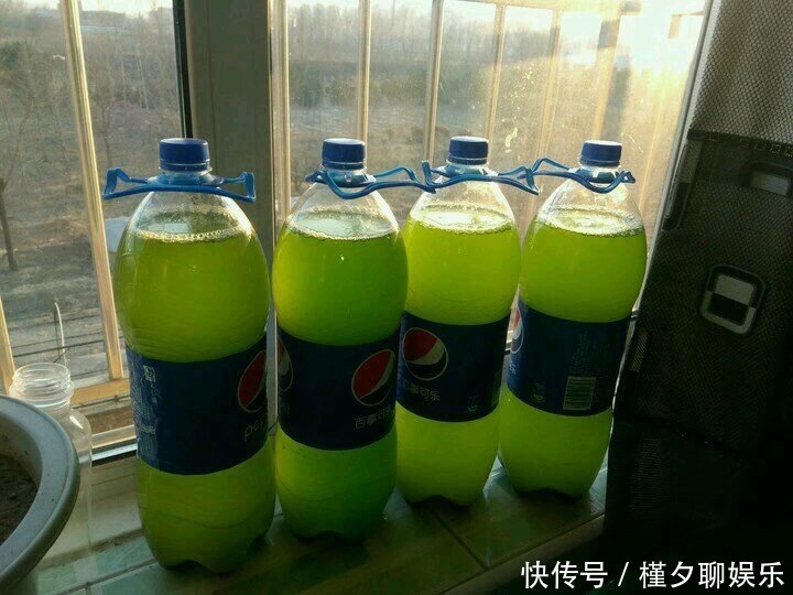 烂根|秋天养花,切忌“乱施肥”,4个“错误”要避免,要不谁也养不活