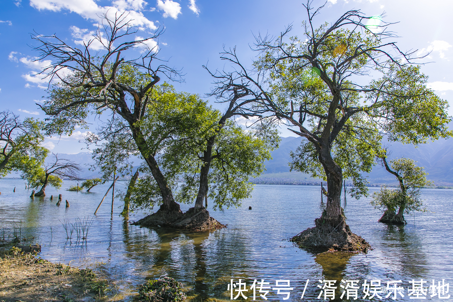 户户|中国最适宜居住的地方，家家有水，户户有花，无数人的梦想家园