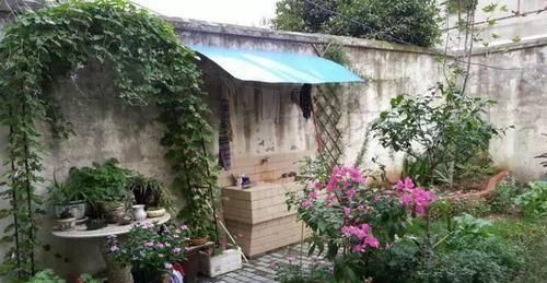 我的100㎡农家小院,种菜、养花、植树、养鱼,漂亮极了