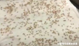 发糕|家常食谱,发糕的做法,渲染蓬松,比馒头简单多了