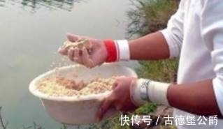 鱼钩|别人钓鲢鳙都是正口,你还在锚鱼?是你忽视了这三个问题