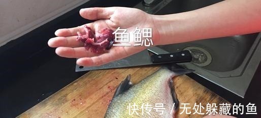 血管健康|医生提醒4种鱼可能影响健康,尽量少吃,建议及早了解!