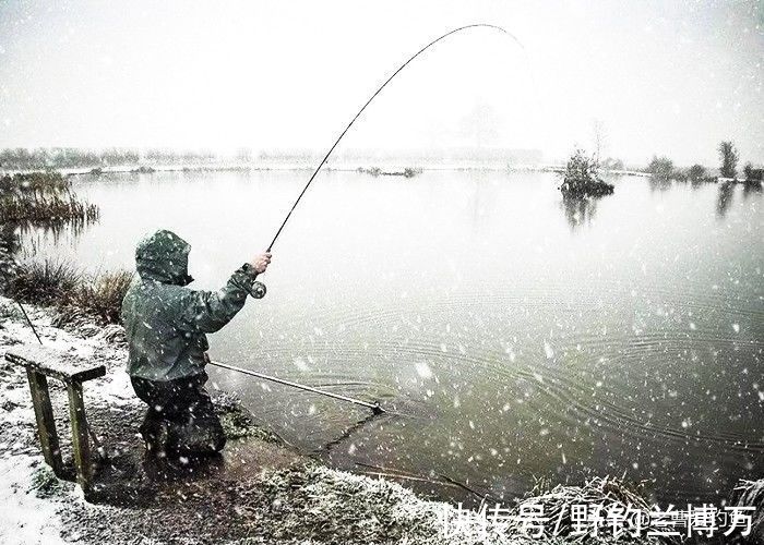 爱信不信！降温后，鲫鱼都藏在这5个地方