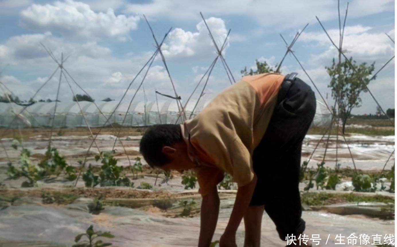 墓地|“千人挣钱,不如一人睡觉”,难道睡觉也赚钱?别理解错了