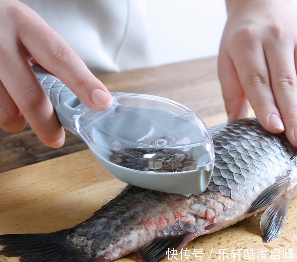 买鲫鱼,要分清“工程鲫”和“土鲫”,差别很大,买错浪费钱