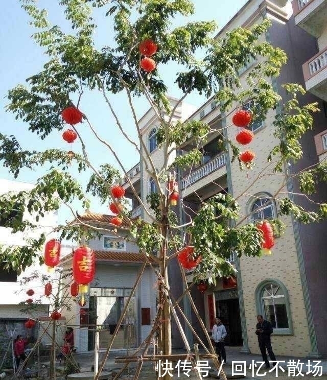 庭院|小伙斥资50万在农村盖四层别墅，超大庭院，大门太气派了