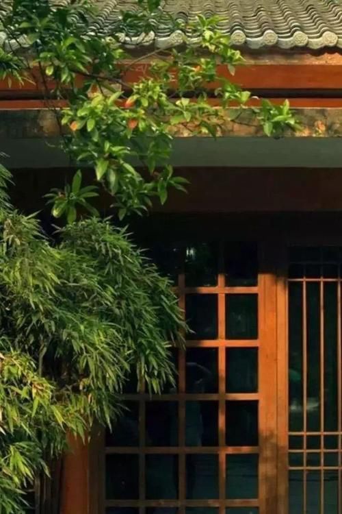 庭院|真正有钱的人,都喜欢造中式庭院,风雅还显品味,美的像桃园一样