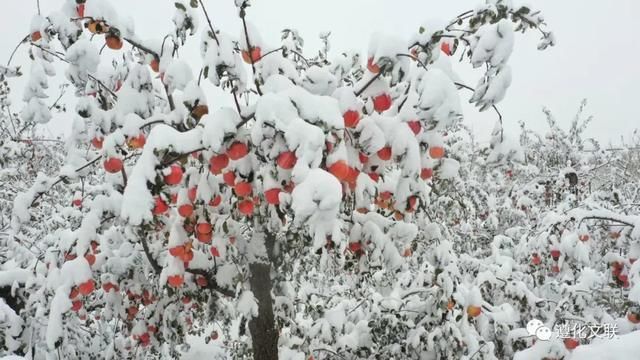 还看今朝#诗文天地:冬雪遐思