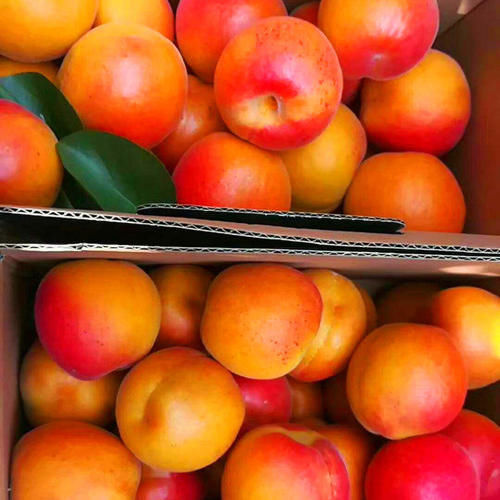 夏天,碰到此碱性水果别手软,一次性囤20斤,放冰箱冷藏,特省事