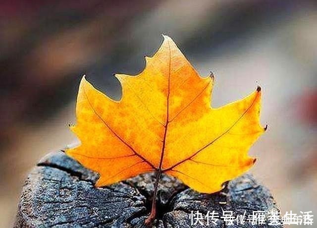 老无所依!人到六十,我们要做好老无所依的准备,原因很现实,写完流泪了