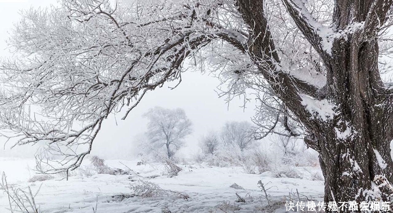 深刻|刘长卿很简练的一首诗,没有引经据典,没有使用生僻字,同样写得很深刻