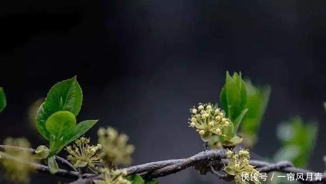 清明为什么要祭祖?这是我听过最好的答案