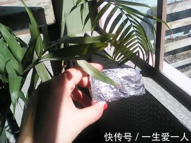 小小铝箔纸在户外竟有如此妙用