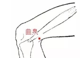 外阴|外阴瘙痒？妇科炎症？中医一招，最直接、最有效、最简单！