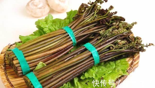 阳荷|奇怪的山野菜,就是去了山里也不一定认出来