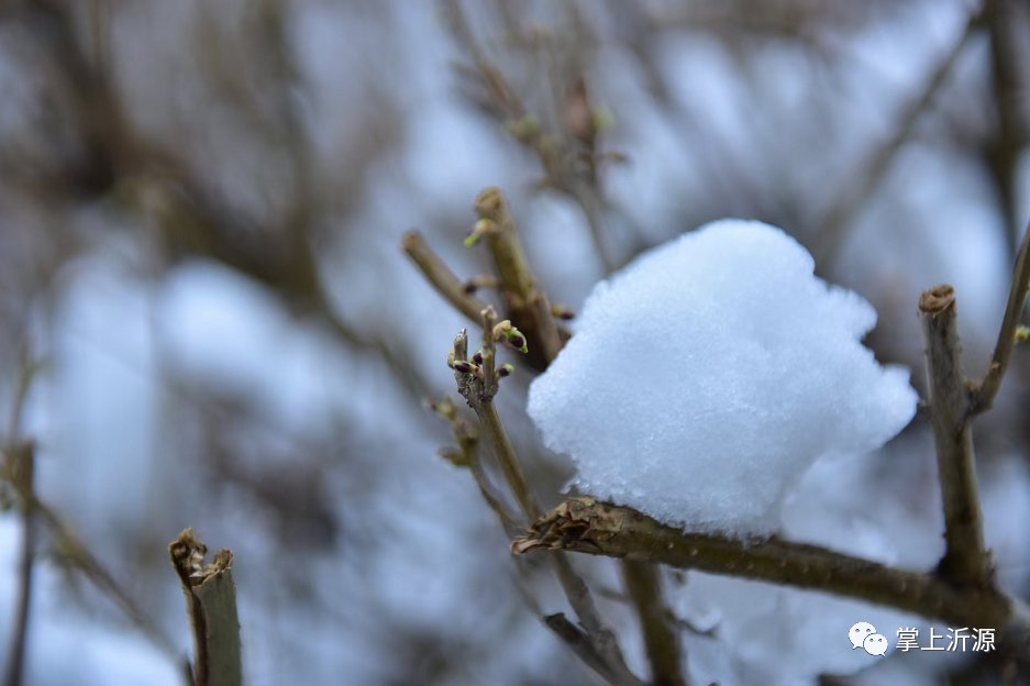 初雪来袭：你在朋友圈晒雪景，我在雪中守护你