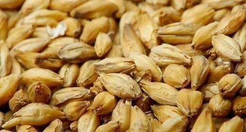 橙子|多吃7种食物,就能延缓衰老,省掉不少冤枉钱