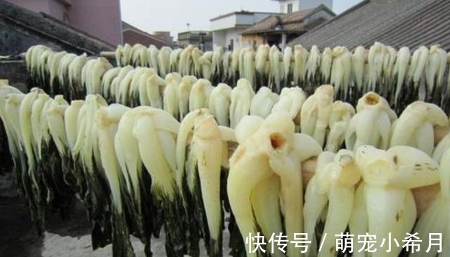 有5种蔬菜晒干后更美味！农村人拿来炖肉，城里人争先恐后去品尝