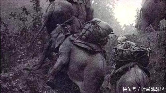 成吉思汗|成吉思汗有一招可不让部队饿肚子,二战日军效仿,结果饿死5万人