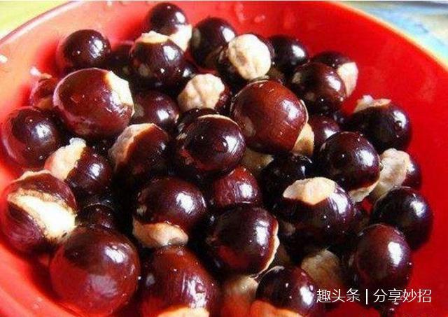 盆景还在买这4种水果吃完千万别扔,这样做一个月后变盆栽美景