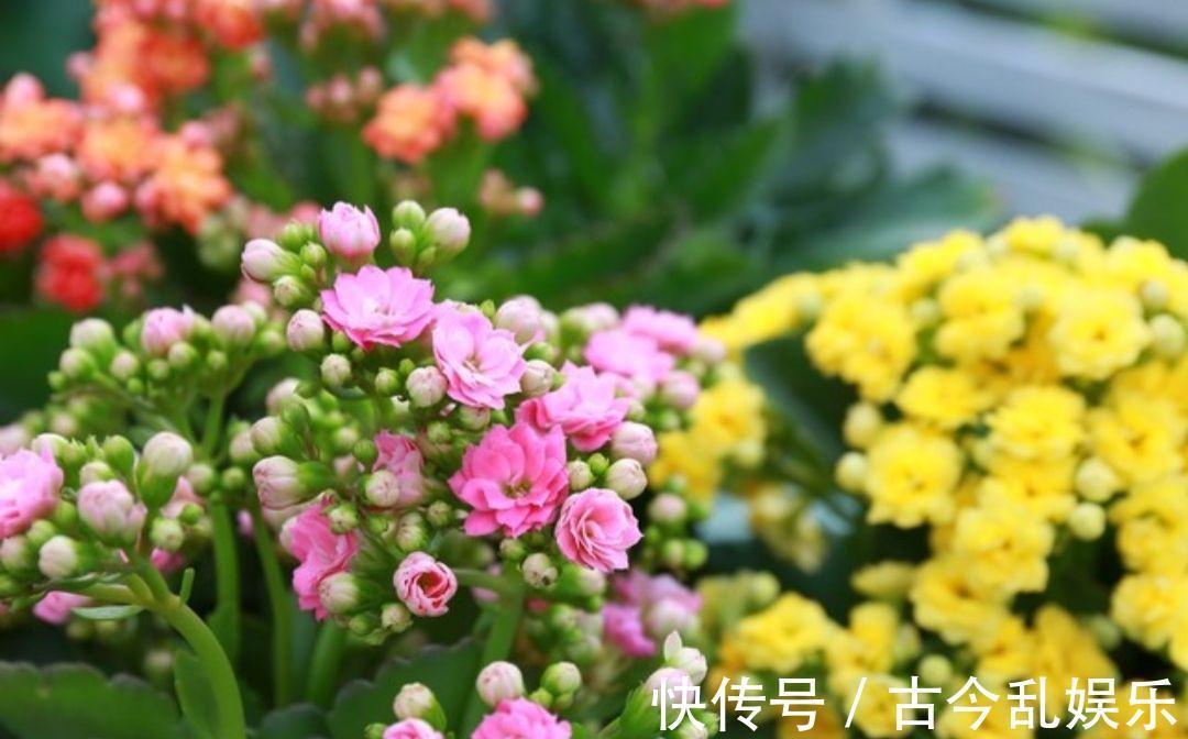 养心|四位百岁老人，他们的长寿之道值得学习