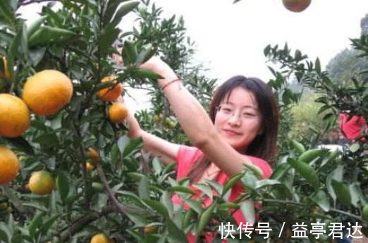 橘子皮|此物是“天然安眠药”,经常吃,一觉安枕到天明