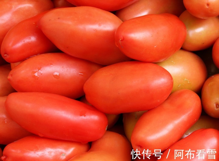 追肥|喜欢吃番茄,不如种青梅番茄,不仅好看,还营养丰富!