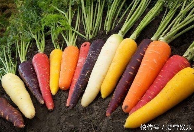 孩子|儿科主任天然“健脾王”找到了,常吃,孩子积食“一扫而空”