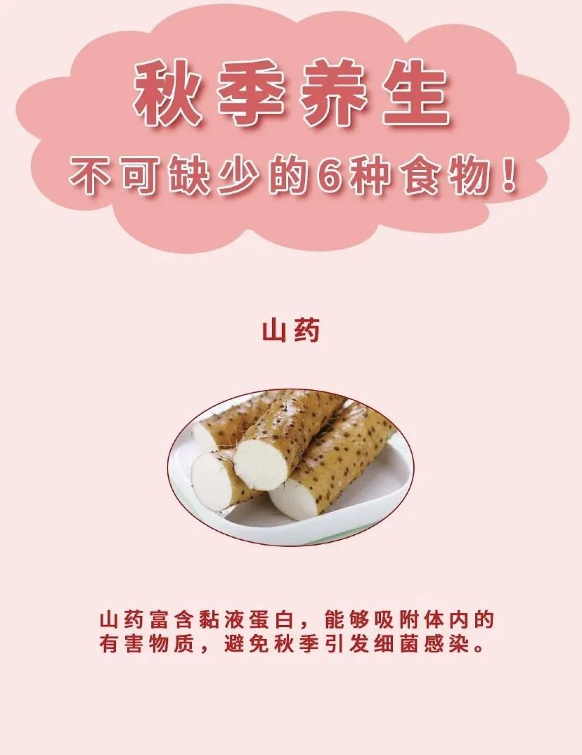 食物|秋季养生不可缺少的6种食物，赶快学起来~