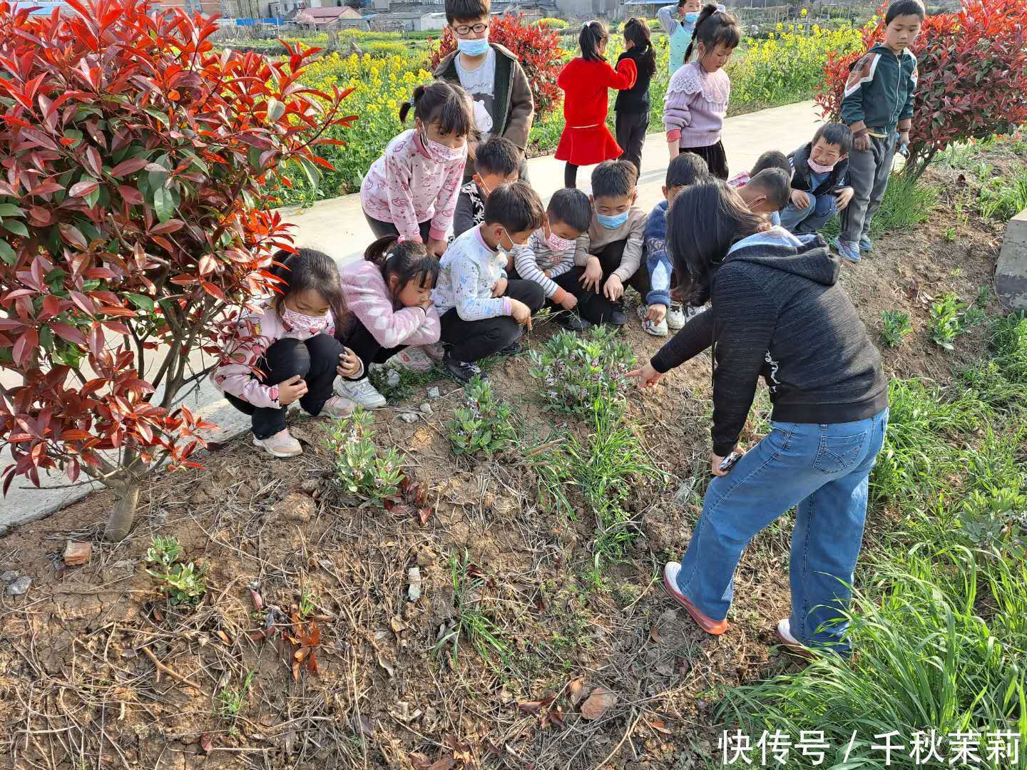 天长市王店小学开展“亲近自然、从小学农”活动