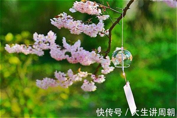 回家过年&花有信，等风来……一支笔写出花开花落、百味杂陈的人生