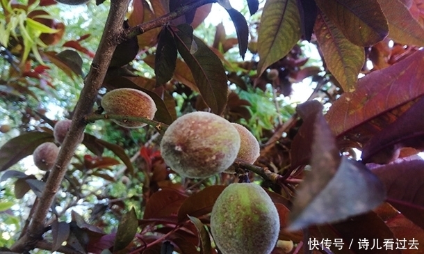 人生|活在当下,何必穿越,唯求人生真实
