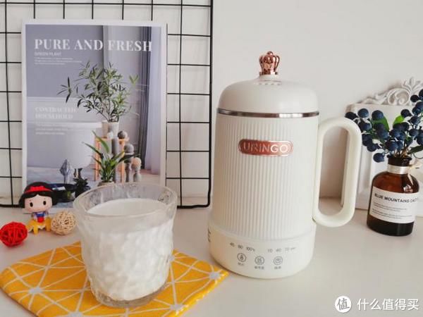 no，no|七彩叮当迷你养生壶，一壶暖时光，开启“轻”生活