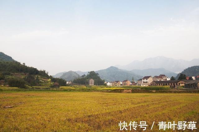 购房|三四线遭遇“回乡潮”,进城购房的家庭,或成为村里的“另类”