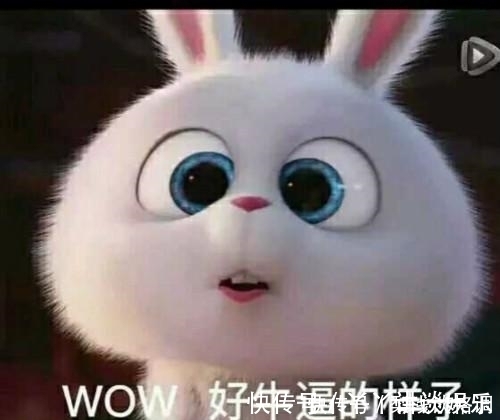 女主#那些年出现的5大网络小说脑残桥段,每一段都可以让你乐呵一下