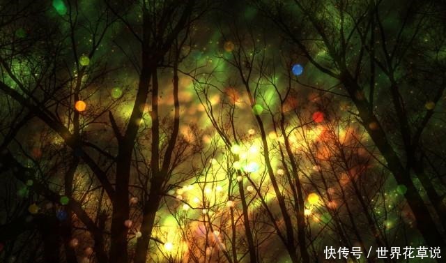 拍案叫绝的三本群像文,口碑炸裂,主角智商在线,一看就爱不释手