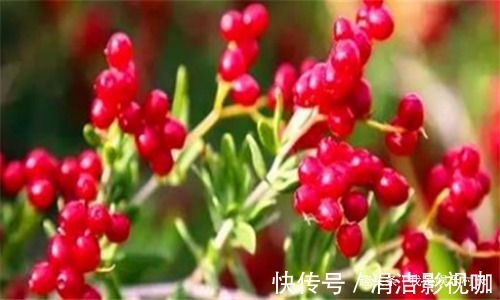 子宫|秋天养生,女性不妨多吃3种食物,排毒养颜,预防子宫早衰