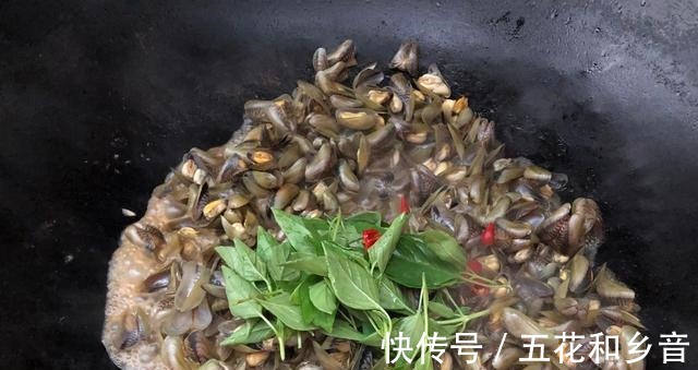 下酒|夏天遇见此海鲜,我从不放过,上锅一蒸简单美味,下酒又下饭!