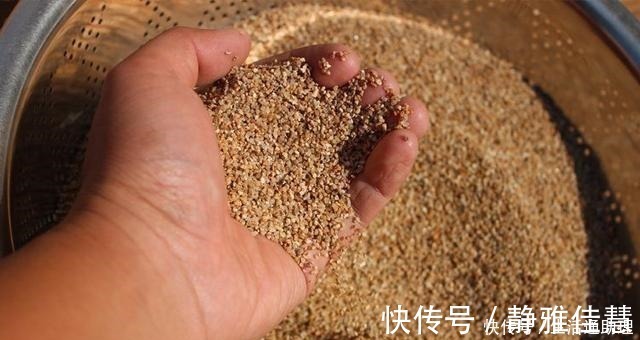 见效|花盆落满小飞虫周围撒点它,3天就见效,小虫死翘翘!