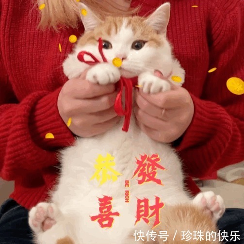 拜年|必存!新年拜年表情包丨第310期热门表情包