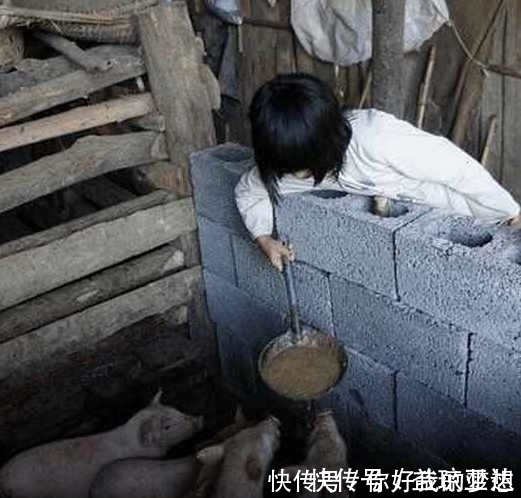 7歲小女孩自己做飯，還養(yǎng)了一窩小豬，問她媽媽在哪，她卻哭了！