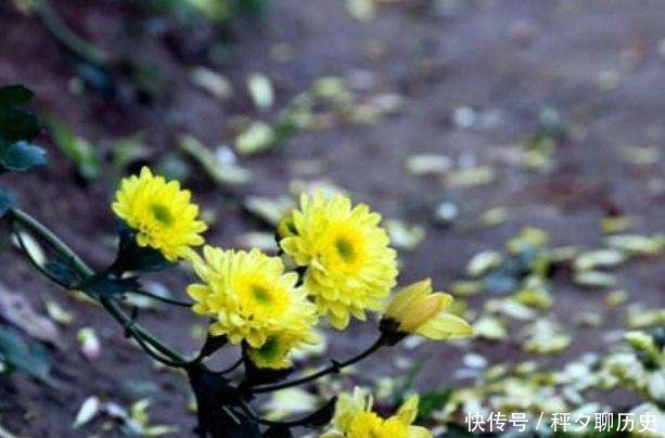 爷爷说|爷爷的告诫:人到五十,牢记这四句忠告,否则灾祸将至!