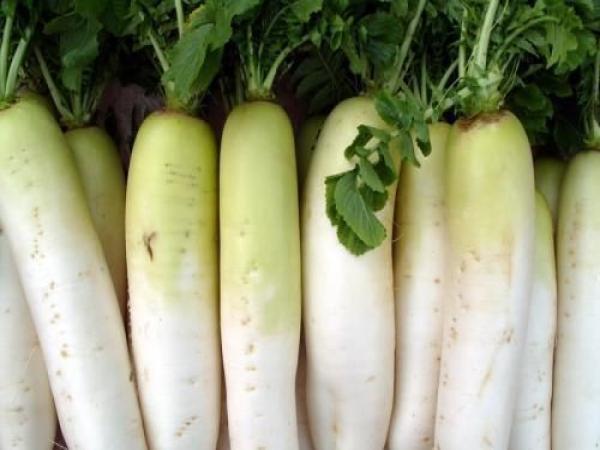 长寿|人到中年想长寿,不妨多吃4种食物,美容养颜、早吃早好