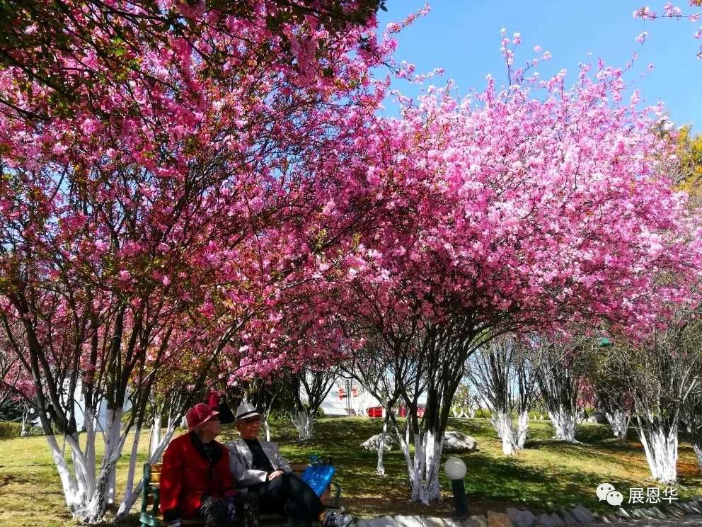  散文|散文丨爷爷领我赶年集/尹燕忠