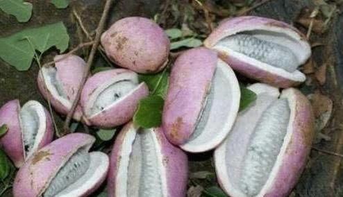 排毒养颜|人到中年想长寿，可以多吃3种食物，排毒养颜，提高免疫力！